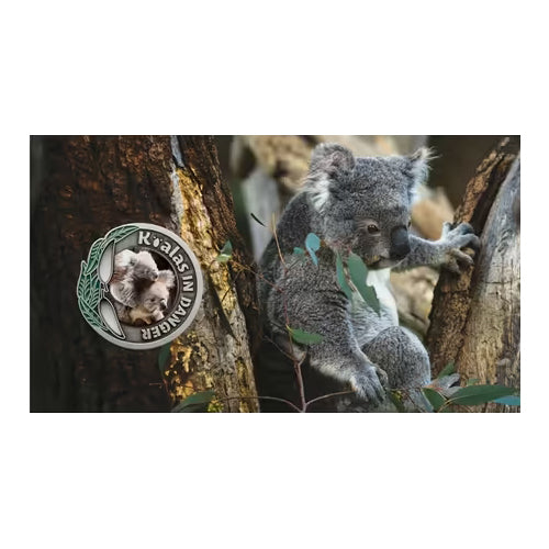 2024 Koalas in Danger - Endangered in the ACT Limited Edition Medallion & Stamp Cover PNC