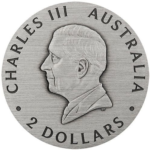 2025 $2 Honey Bee 2oz Silver Antiqued Coloured Coin