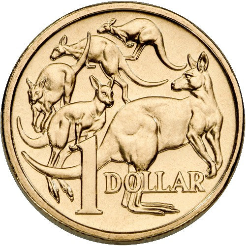 2008 $1 Mob of Roos Uncirculated Coin