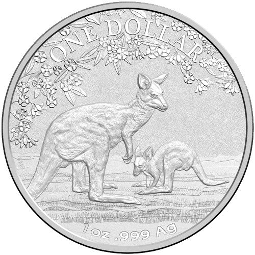 2017 $1 Kangaroo Series - Seasons Change 1oz Silver Frosted Coin in Card