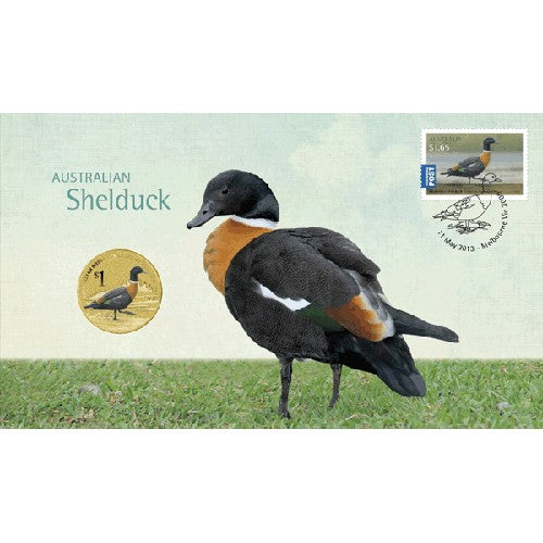 2013 $1 Australian Waterbirds Shelduck Coin & Stamp Cover PNC