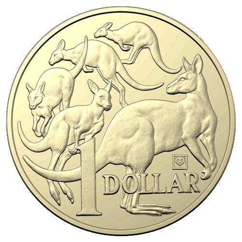 2019 $1 Beijing International Coin Expo Mob of Roos Panda Privymark Al/Br Coin in Card