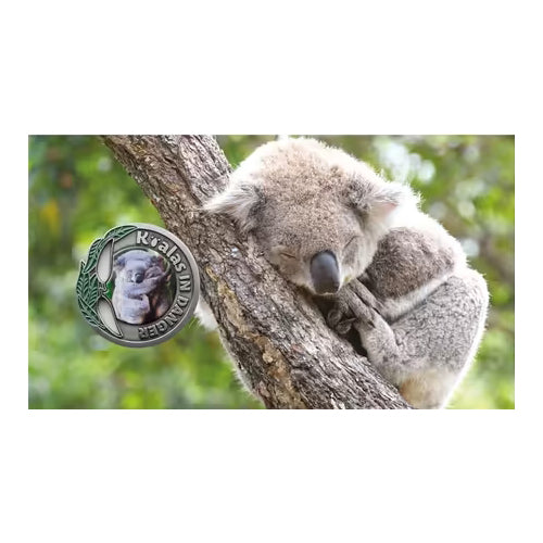 2024 Koalas in Danger - Endangered in the NSW Limited Edition Medallion & Stamp Cover PNC