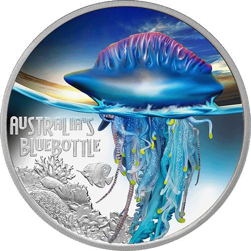 2024 $1 Deadly & Dangerous Series - Bluebottle 1oz Silver Proof Coin