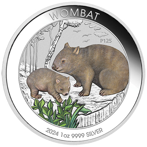 2024 $1 Australian Wombat 1oz Silver Coloured Coin in Card