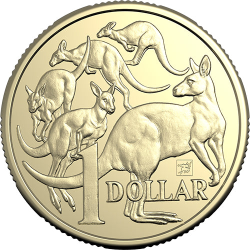 2025 $1 30th Anniversary of ANDA - Sydney Money Expo Mob of Roos Sydney Map Privy Mark Coin