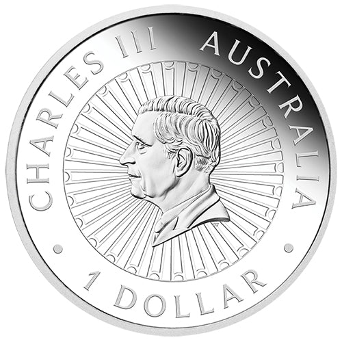 2025 $1 Great Southern Land 1oz Silver Proof Snakeskin Jasper Coin