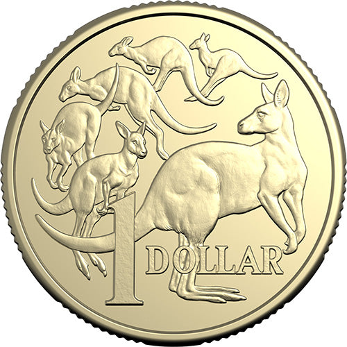 2026 $1 King Charles III Effigy - Non-Premium Roll Heads/Heads or Tails/Tails RAM Roll Circulating Coin Al/Br Coin