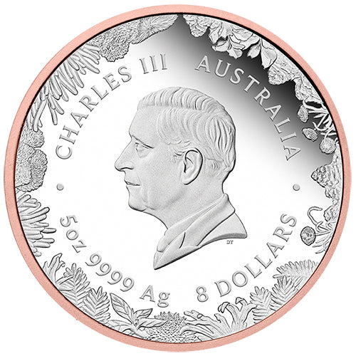 2026 $8 Wonders of Australia - Kangaroo 5oz Silver Proof Double Gilded Coin Obverse