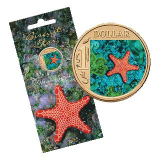 2007 $1 Ocean Series - Biscuit Star Uncirculated Coin in Card