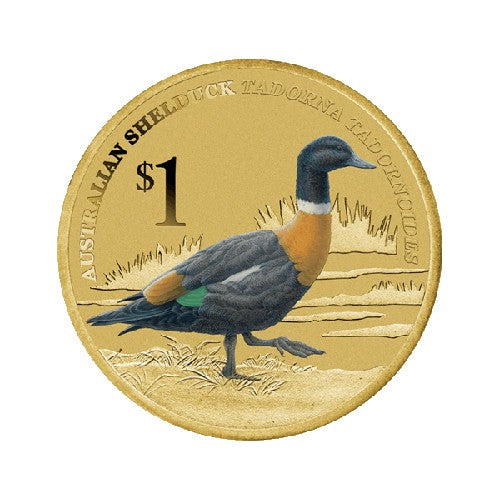 2013 $1 Australian Waterbirds Shelduck Coin & Stamp Cover PNC