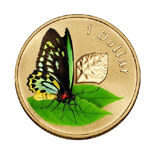 2011 $1 Air Series - Birdwing Butterfly Unc Coin in Card