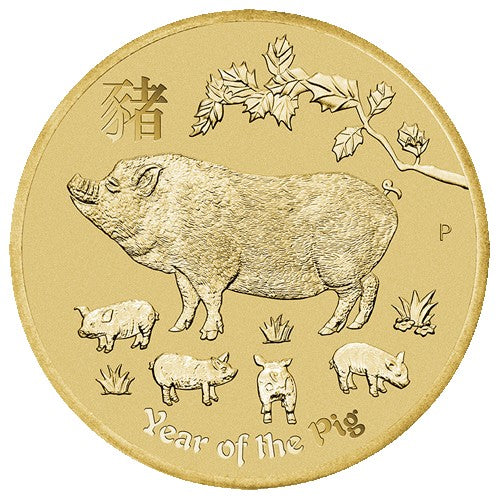 2019 $1 Year of the Pig Coin & Stamp Cover PNC