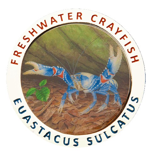 2019 Freshwater Crayfish Medallion & Stamp Cover PNC