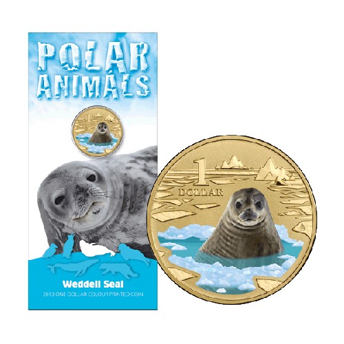 2013 $1 Polar Series - Weddell Seal Unc Coin in Card