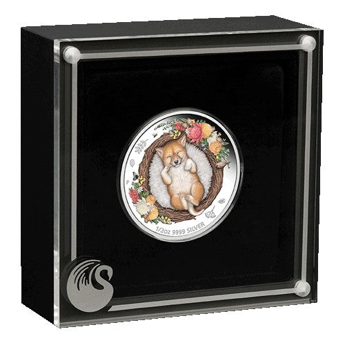 2021 50c Dreaming Down Under - Dingo 1/2oz Silver Proof Coloured Coin