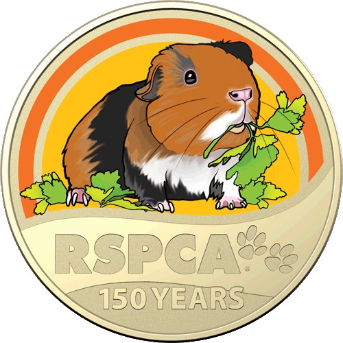 2021 $1 150th Anniversary of the RSPCA Australia Al/Br Coloured Uncirculated Guinea Pig Coin