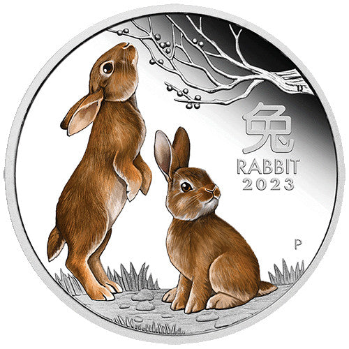 2023 $1 Year of the Rabbit 1oz Silver Proof Coloured Coin