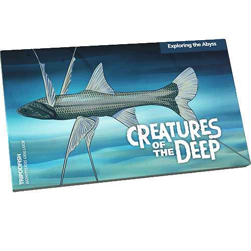 2023 $1 Creatures of the Deep Al/Br Mintmark & Privy Mark Uncirculated Four Coin Set