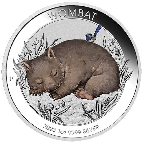 2023 $1 Australian Wombat 1oz Silver Coloured Coin in Card