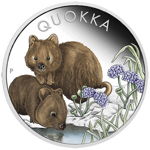 2023 $1 Australian Quokka 1oz Silver Proof Coloured Coin