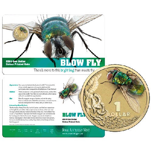 2014 $1 Bright Bugs Series - Blowfly Unc Coin in Card