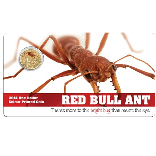 2014 $1 Bright Bugs Series - Red Bull Ant Unc Coin in Card